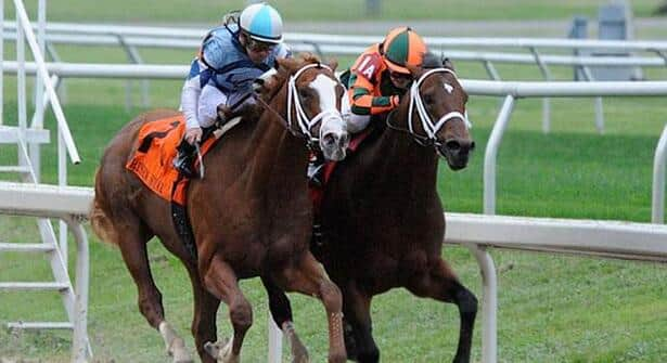 Mark Valeski Heads Field Of 14 In Louisiana Derby