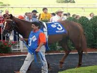 Massone at Louisiana Downs prior to finishing 3rd in the Grade 2 Super Derby. 