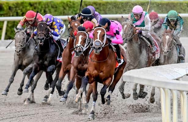 Kentucky Derby 2019 Daily: The X factor checks ‘a lot of boxes’