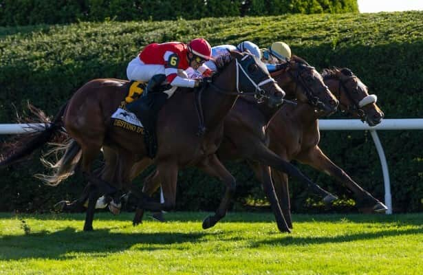 Keeneland: May Day Ready, Federal Judge win BC invitations