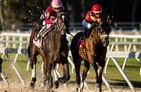  McCracken #8, ridden by Brian Joseph Hernandez (pink hat), overtaking State of Honor #1, ridden by Julien Leparoux (red hat), down the final stretch to win the Sam F. Davis Stakes at Tampa Bay Downs on February 11, 2017 in Oldsmar, Florida (photo by Douglas DeFelice/Eclipse Sportswire/Getty Images)