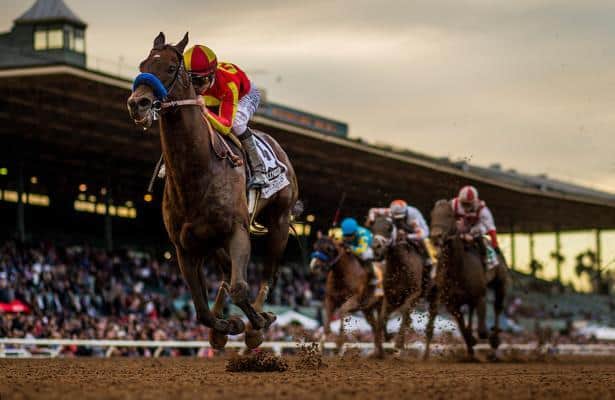 Reports: Trio of updates on the Pegasus World Cup field