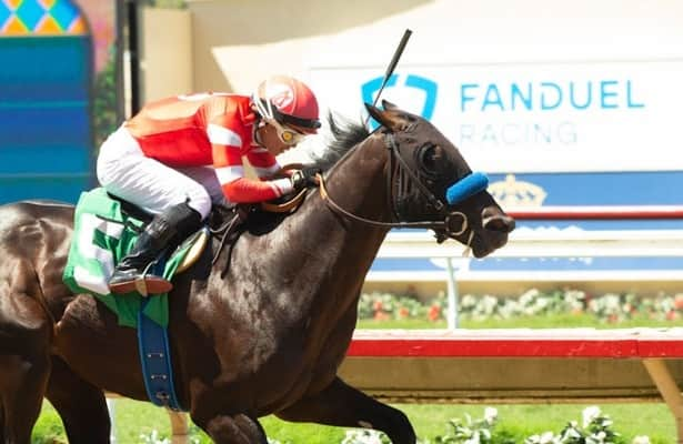 Santa Anita: McKinzie Street leads field of 7 in American Pharoah