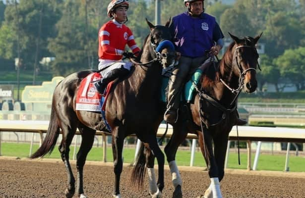 Ky. Derby trail: Owner takes new route with McKinzie Street