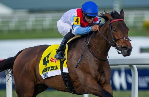 Gulfstream's Orchid could propel Mean Mary to high-class campaign
