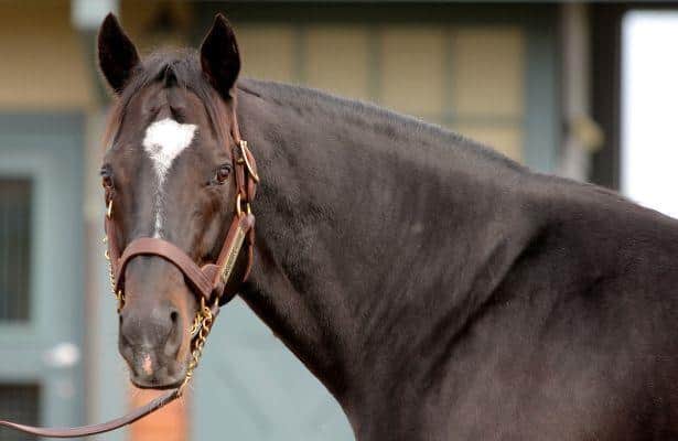 Medaglia d'Oro's Astern gets his Grade 1 in the Golden Rose