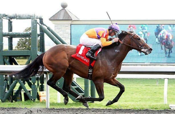 Medal Count, Cigar Street Line Up for CD's Closing Weekend Stakes