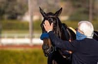 Bob Baffert - Trainer