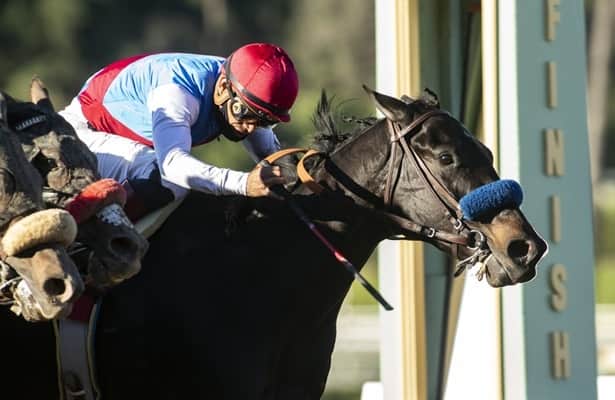 Kentucky Derby winner Medina Spirit dies at Santa Anita