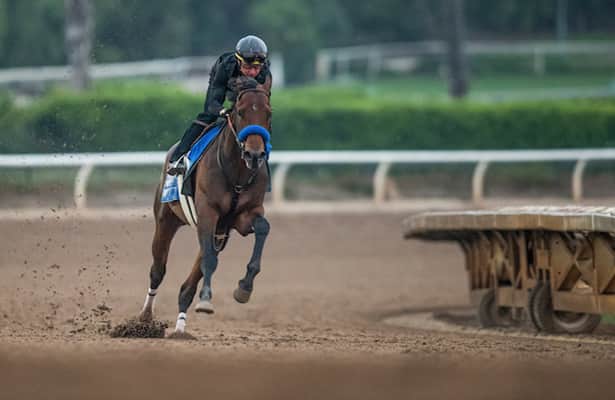 Kentucky Derby: What's the best scenario for each speed horse?