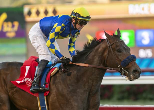 Baffert's Messier leads a field of 5 in the Los Alamitos Futurity