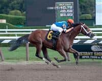 Micromanage debuts a winner at Saratoga on 9-1-12. 