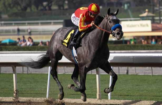 Kentucky Derby 2014 - Midnight Hawk Pedigree Profile