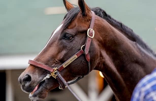 Head to Head: Handicapping the 2022 Louisiana Stakes