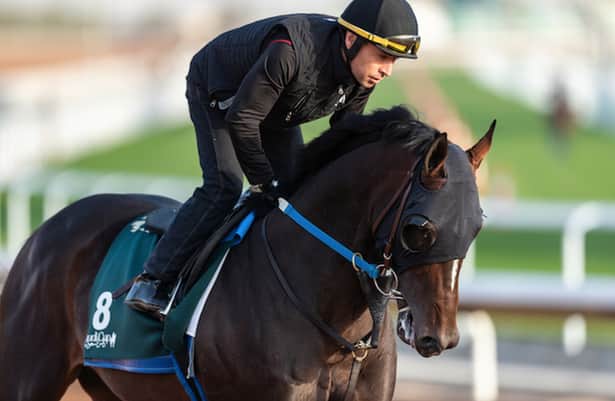 Saudi Cup: U.S. trainers are confident ahead of Saturday's race