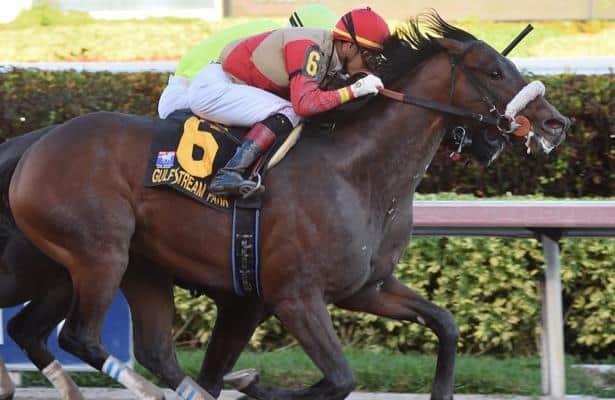 Head to Head: Handicapping the 2019 Holy Bull Stakes
