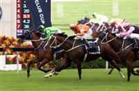 Military Attack (in green) edges out Blazing Speed in the 2015 edition of the Group 2 LONGINES Jockey Club Cup (2000m).