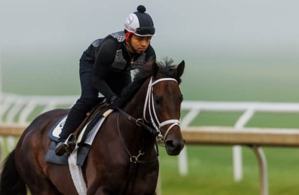 Haskell Stakes 2024: Odds and analysis + top win pick