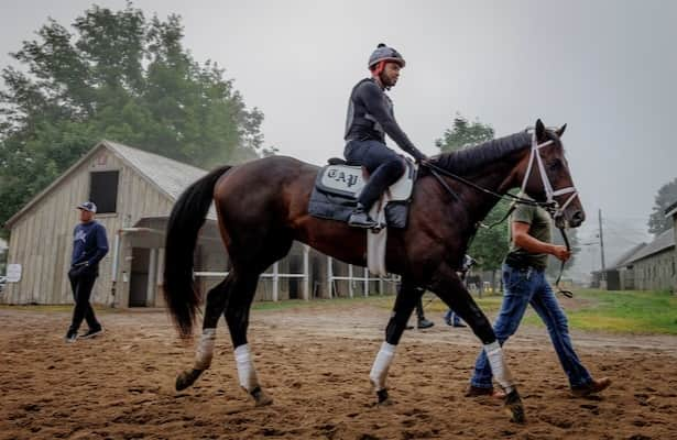 Mindframe begins comeback bid in Gulfstream Park Mile