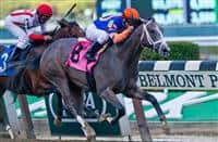 Misconnect, ridden by Javier Castellano, wins a maiden race at Belmont Park on Jockey Club Gold Cup Day at Belmont Park in Elmont, New York on September 28, 2013.