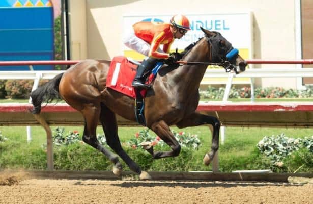 Baffert's Miss Monica is early favorite of 10 in Del Mar Debutante