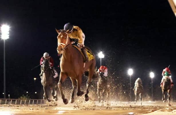 Remington: Mister Omaha points to Derby prep after 3 wins