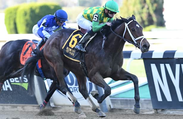 Pletcher's Mo Donegal, Nest work in company for the Belmont