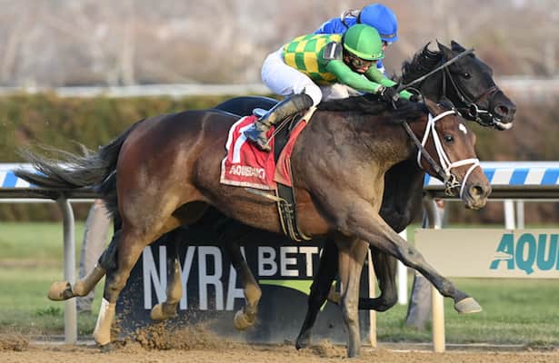 Zandon, Mo Donegal could return Remsen to Derby prominence