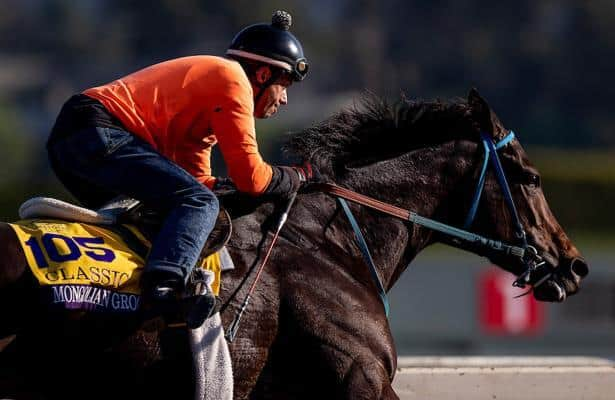 Trainer unhappy with Mongolian Groom s final Breeders Cup work