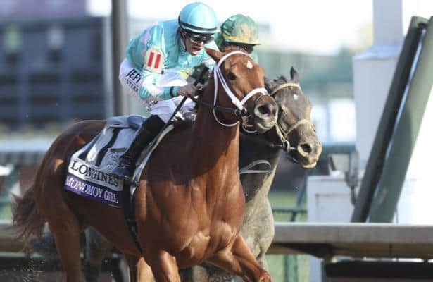 New Churchill stakes 'under consideration' for Monomoy Girl