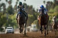 ARCADIA, CA - FEBRUARY 06: Mor Spirit #5, ridden by Gary Stevens defeats Uncle Lino #7, ridden by Fernando Perez to win the Robert B. Lewis Stakes at Santa Anita Park on February 06, 2016 in Arcadia, California . (Photo by Alex Evers/Eclipse Sportswire/Getty Images)