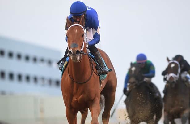 Wood Memorial: Field, draw for Derby prep at Aqueduct