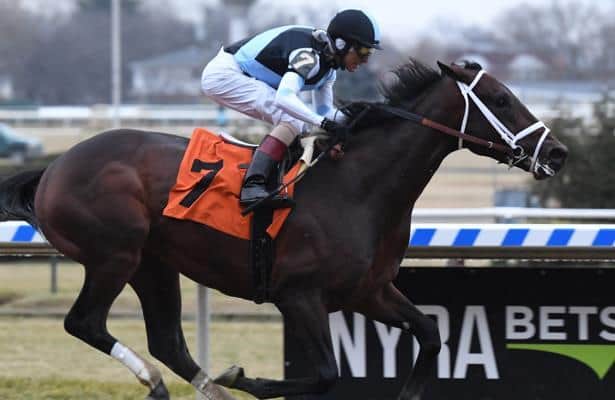 Across the Board: Davidowitz's Saturday stakes horses to bet