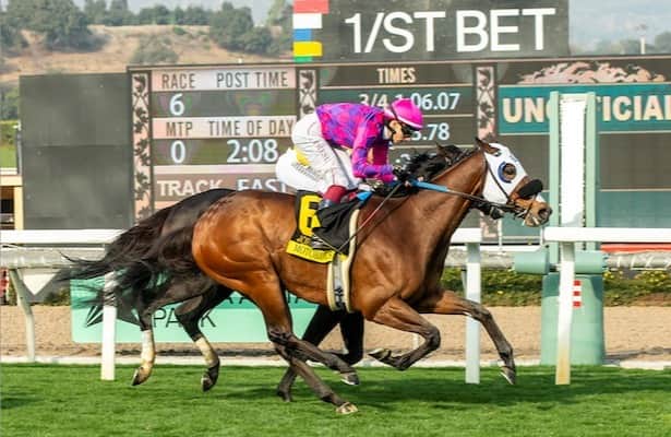 Santa Anita: Motorious returns a winner in Daytona Stakes
