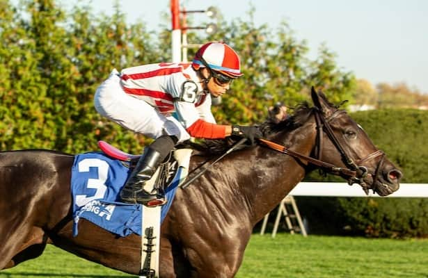 Franco clinches riding title at Belmont at the Big A fall meet