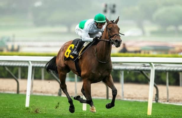 How the San Juan Capistrano Impacts Santa Anita’s Seasonal Narrative