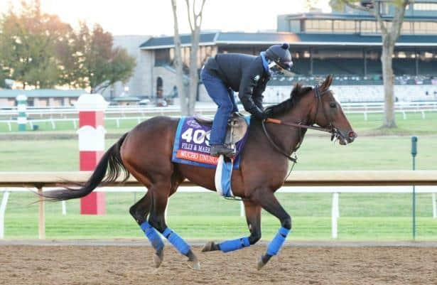 Breeders' Cup Dirt Mile: Jack Christopher still weighing his options