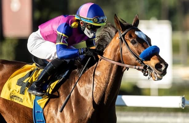 Mucho Unusual chases fifth graded-stakes win in Santa Ana