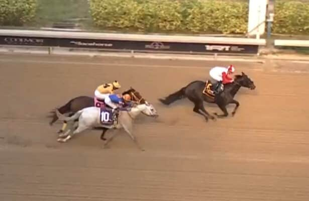 Mufasa upsets slow-starting White Abarrio in Mr. Prospector