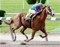 Munnings takes the 2009 Tom Fool with ease