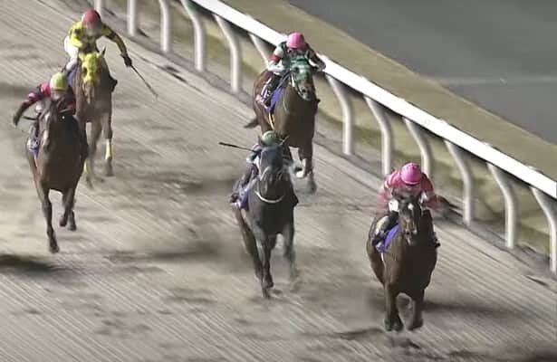 Kentucky Derby prep: Filly wins bellwether race in Japan