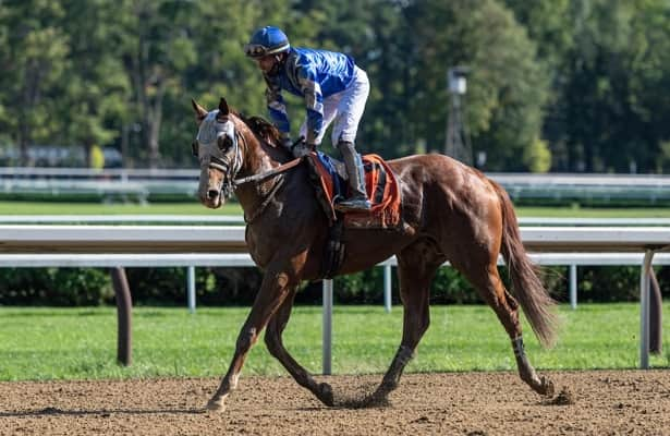 Mystic Guide set for 4-year-old bow in Oaklawn's G3 Razorback