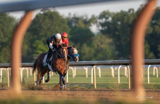 Belmont 2024: Mystik Dan takes ‘a little spin’ at Saratoga