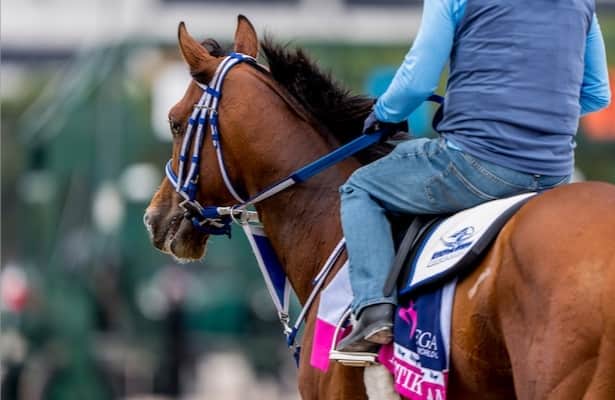 Mystik Dan: McPeek, Hernandez like what they see at Churchill