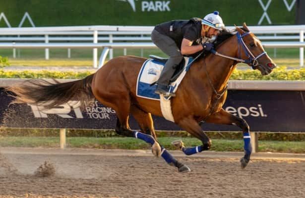 Pegasus World Cup: Albarado expects a win from Mystik Dan