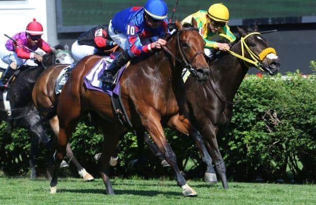 Nobody’s Fault collars Triple Chelsea in Unbridled Sidney