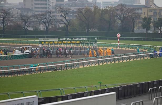Japan stable staffs go on strike, but races continue