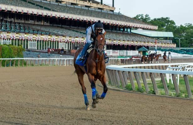 Report: National Treasure has foot trouble, is out of BC Dirt Mile