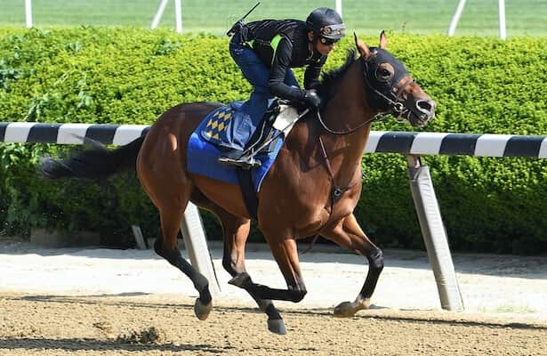 Belmont 2023: National Treasure has 1st work on Big Sandy