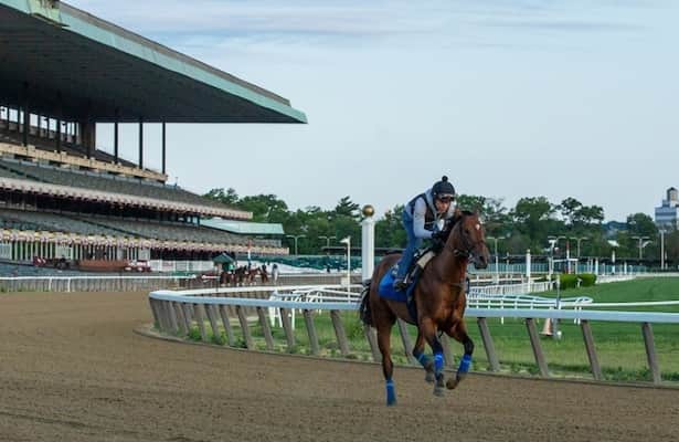 Belmont Stakes 2023: National Treasure has final drill